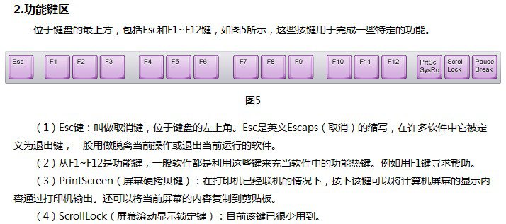 認(rèn)識電腦鍵盤
