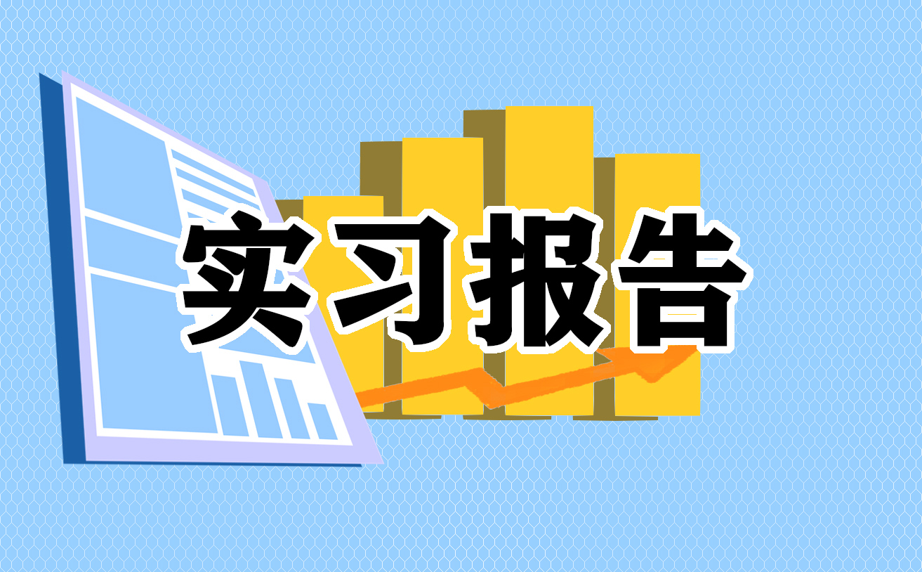 審計專業(yè)個人實習報告