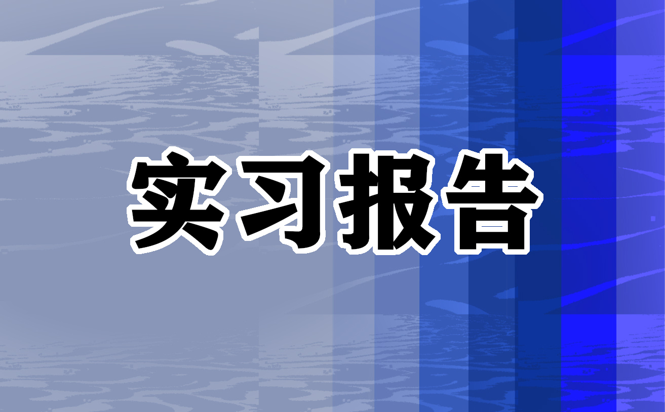 最新實習心得體會10篇
